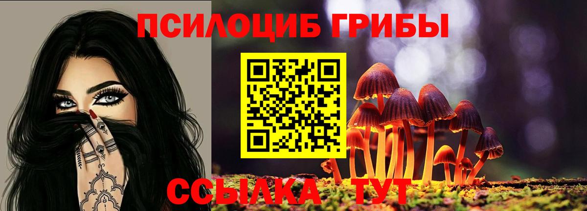 Псилоцибиновые грибы Cubensis  Вход с VPN  наркота  Новозыбков 